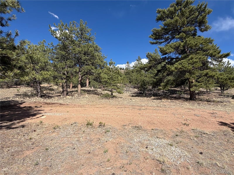 830 Cohonina Rd, Hartsel, CO 80449
