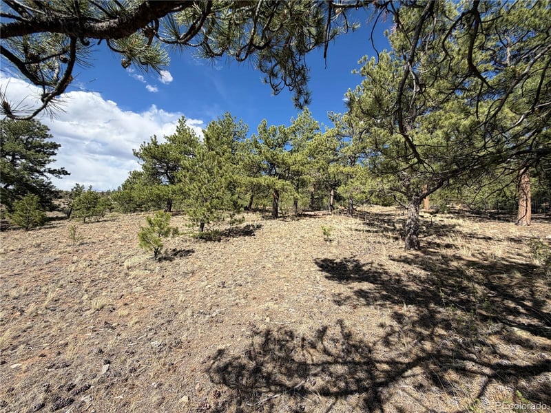 830 Cohonina Rd, Hartsel, CO 80449