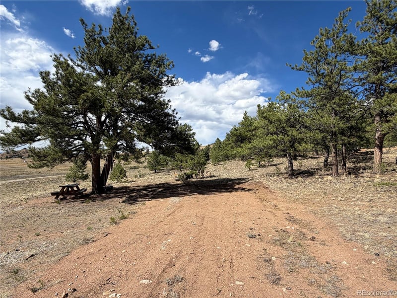 830 Cohonina Rd, Hartsel, CO 80449