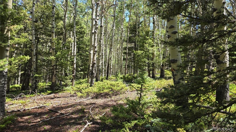 Lot 6748 Starkweather Rd, San Luis, CO 81152