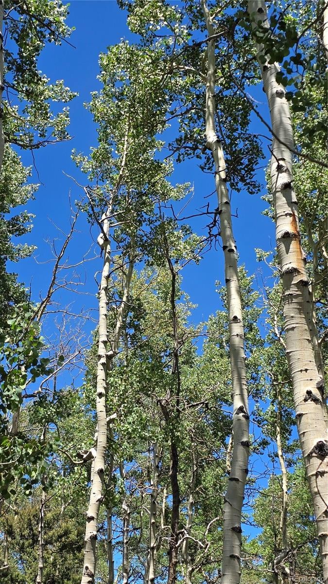 Lot 6748 Starkweather Rd, San Luis, CO 81152