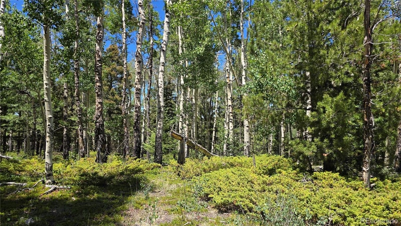 Lot 6748 Starkweather Rd, San Luis, CO 81152