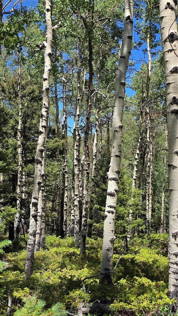 Lot 6748 Starkweather Rd, San Luis, CO 81152