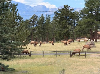 1041 Otis Ln, Estes Park, CO 80517