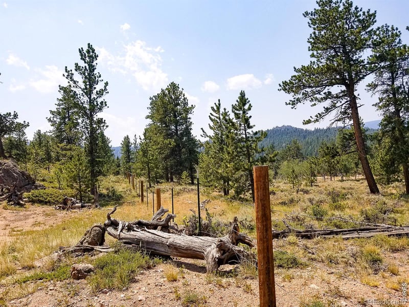 107 Miami Ct, Red Feather Lakes, CO 80545