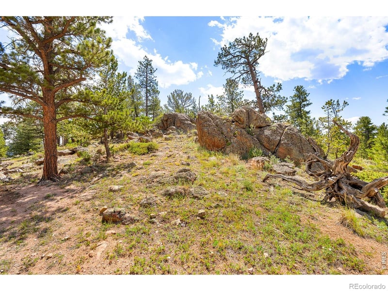 107 Miami Ct, Red Feather Lakes, CO 80545