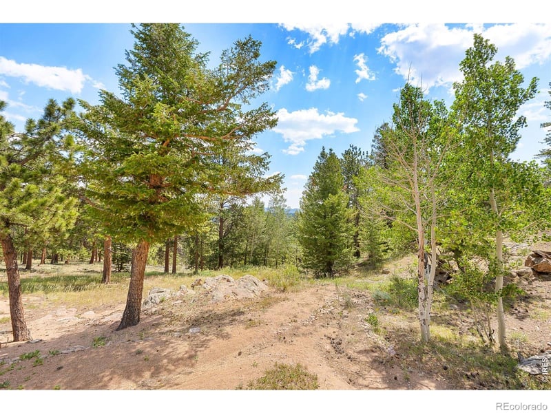 107 Miami Ct, Red Feather Lakes, CO 80545