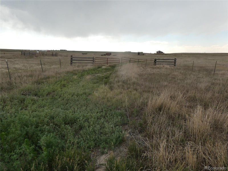 11701 County Road 137, Simla, CO 80835