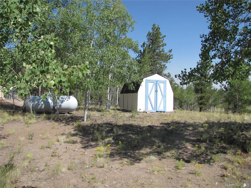 560 Concho Trl, Hartsel, CO 80449