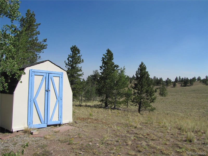 560 Concho Trl, Hartsel, CO 80449