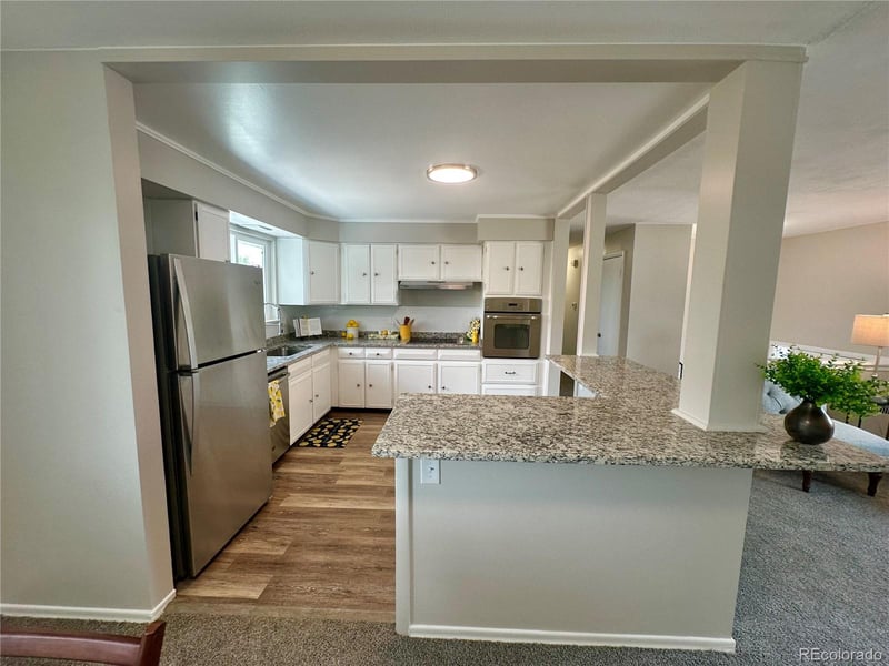 925 101st Ave, Denver, CO 80260