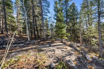 00 Severance Lodge Rd, Black Hawk, CO 80422