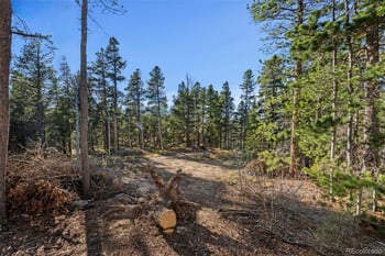 00 Severance Lodge Rd, Black Hawk, CO 80422