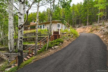 8680 London Ln, Conifer, CO 80433