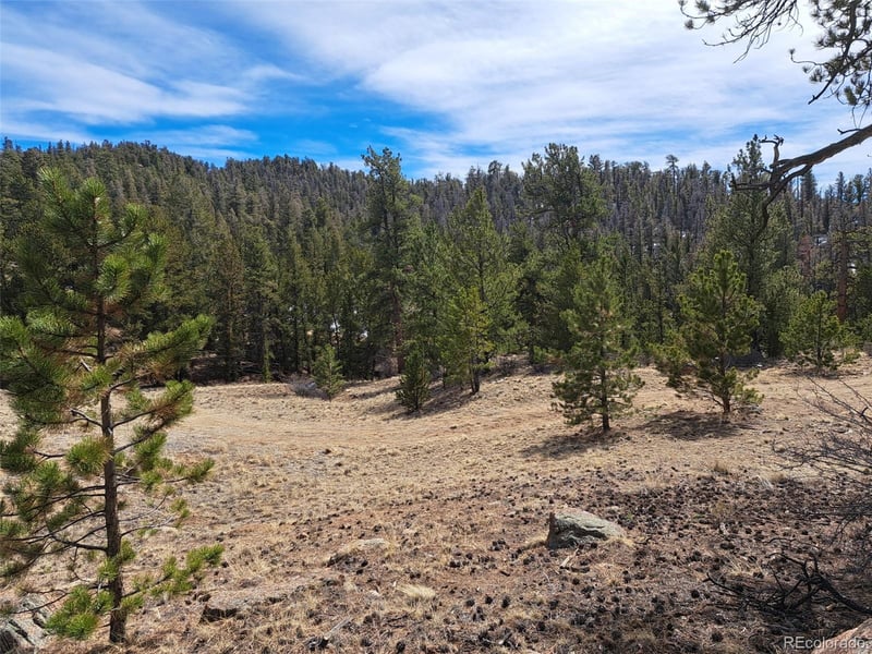 369 Summit Rd, Hartsel, CO 80449