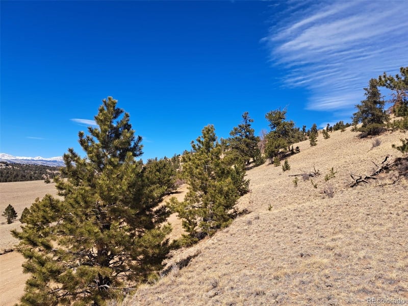 369 Summit Rd, Hartsel, CO 80449