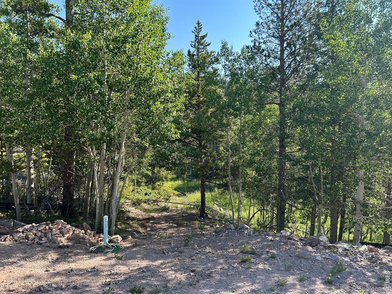 506 Elkridge Rd, Red Feather Lakes, CO 80545