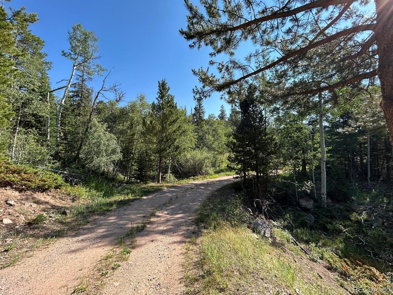 506 Elkridge Rd, Red Feather Lakes, CO 80545
