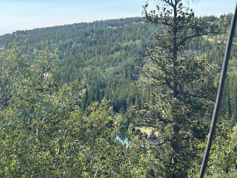 506 Elkridge Rd, Red Feather Lakes, CO 80545