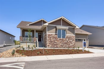 444 Agoseris Way, Castle Rock, CO 80104