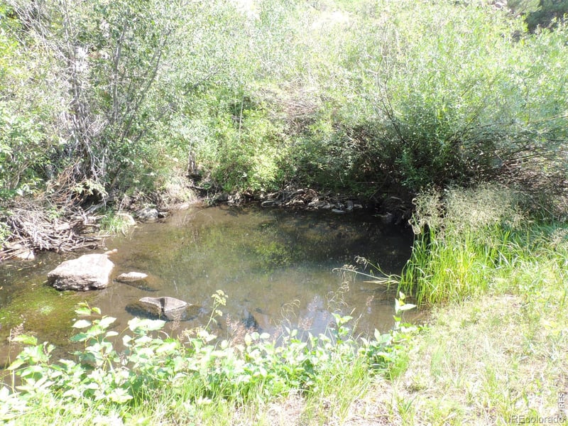 2300 Red Ashby Rd, Livermore, CO 80536