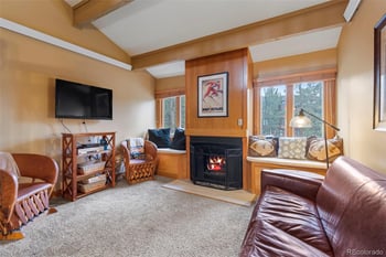 205 Primrose Pa #3, Breckenridge, CO 80424