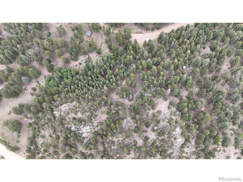 225 Bobcat Way, Ward, CO 80481