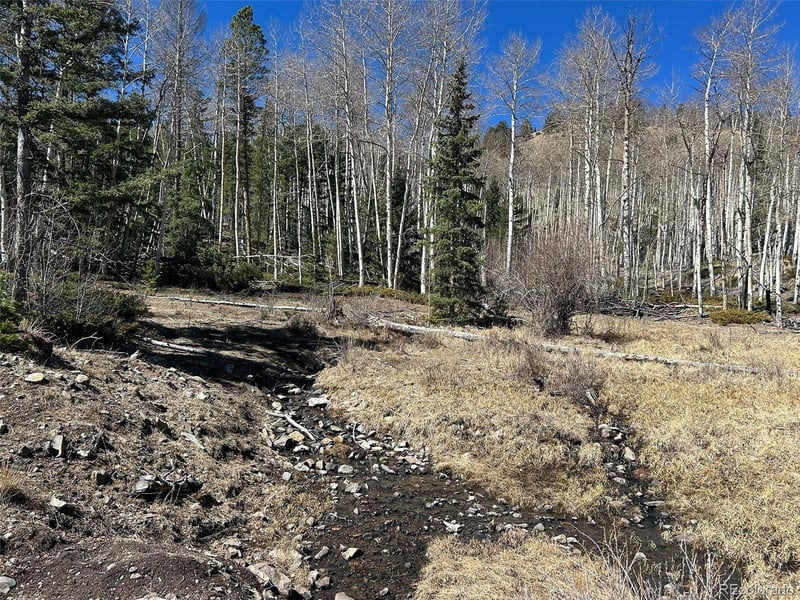 13 Bonanza Rd, Villa Grove, CO 81155