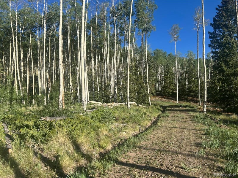 13 Bonanza Rd, Villa Grove, CO 81155