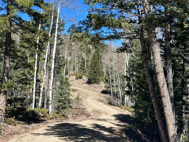 13 Bonanza Rd, Villa Grove, CO 81155