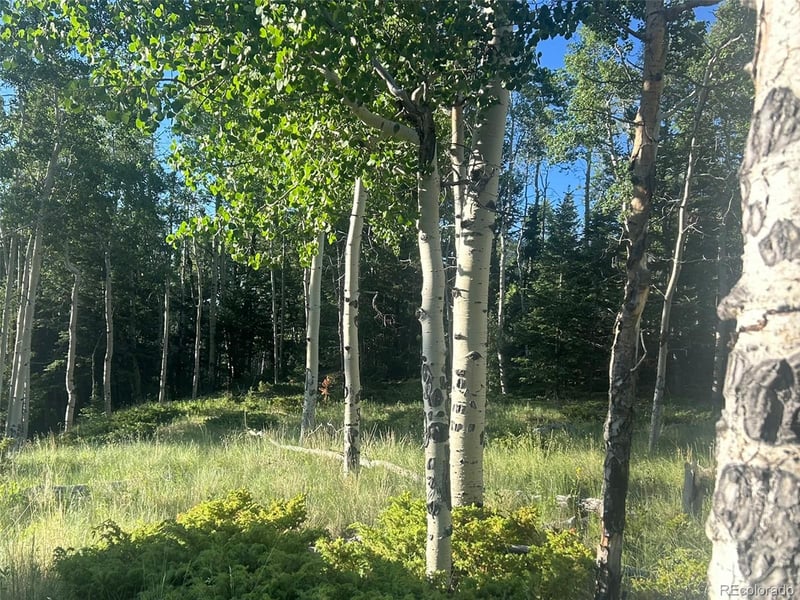 13 Bonanza Rd, Villa Grove, CO 81155
