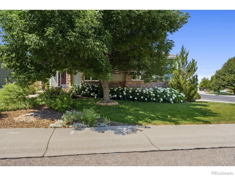 8493 Castaway Dr, Windsor, CO 80528