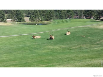 1250 S Saint Vrain Ave #14, Estes Park, CO 80517