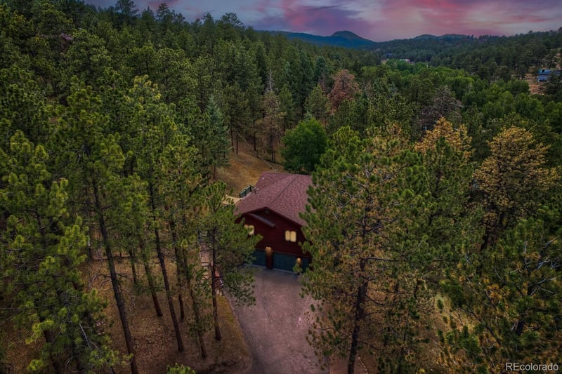 715 Mockingbird Trl, Bailey, CO 80421