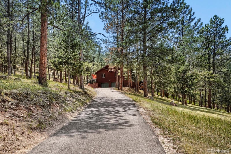 715 Mockingbird Trl, Bailey, CO 80421