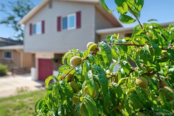 6450 W 108th Pl, Broomfield, CO 80020