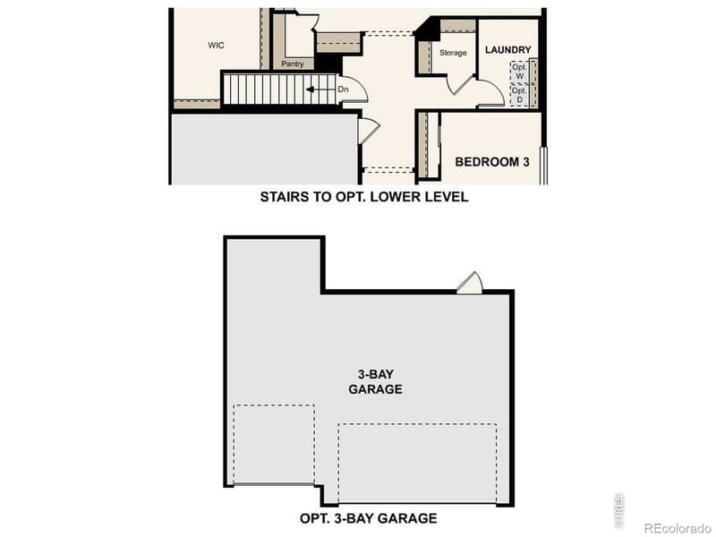 867 Mesic Ln, Windsor, CO 80550