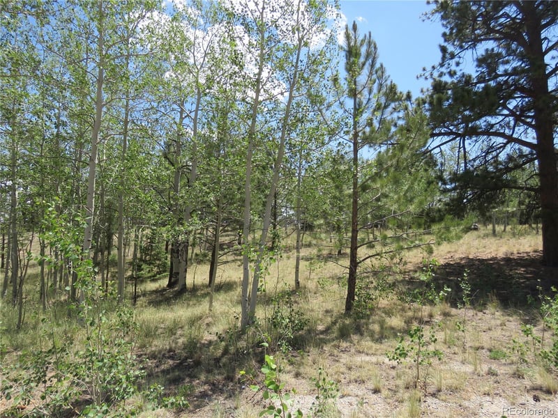 104 Hawk Way, Jefferson, CO 80456