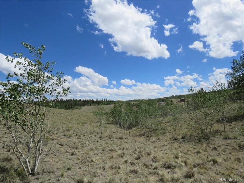 104 Hawk Way, Jefferson, CO 80456