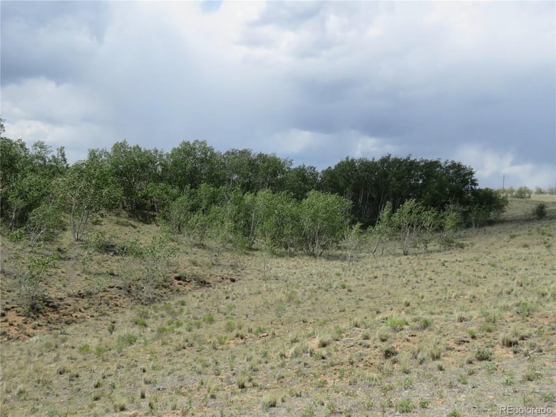104 Hawk Way, Jefferson, CO 80456
