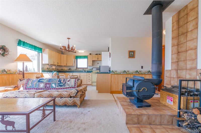 234 Deadman Gulch Ln, Jefferson, CO 80456