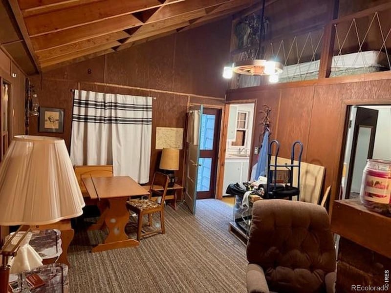 970 Bryan Ave, Nederland, CO 80466