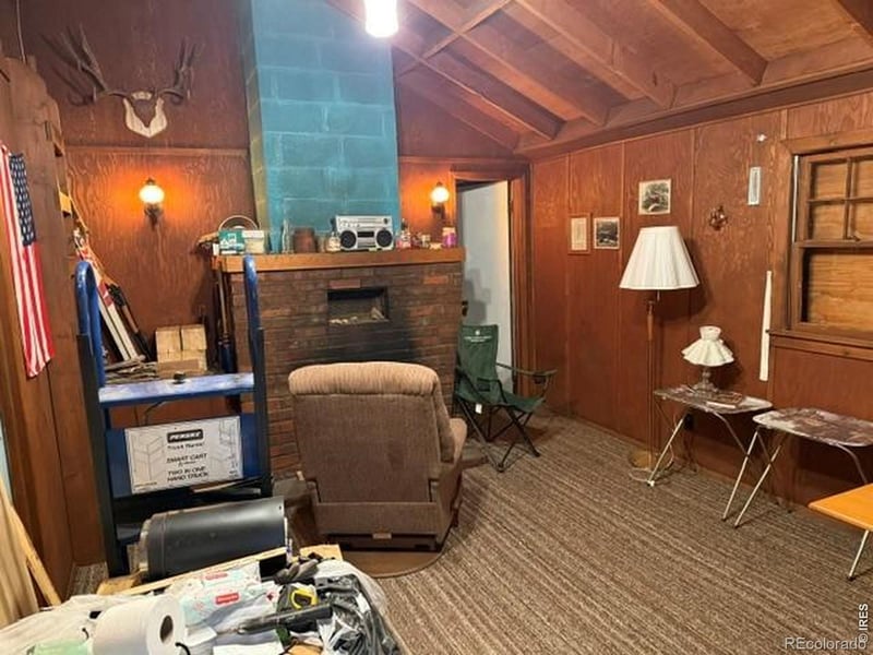970 Bryan Ave, Nederland, CO 80466