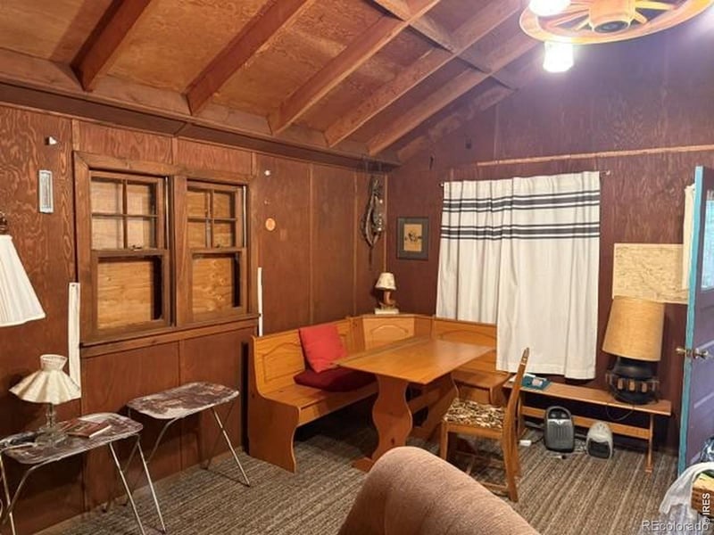 970 Bryan Ave, Nederland, CO 80466