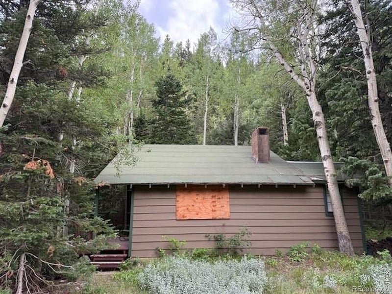 970 Bryan Ave, Nederland, CO 80466