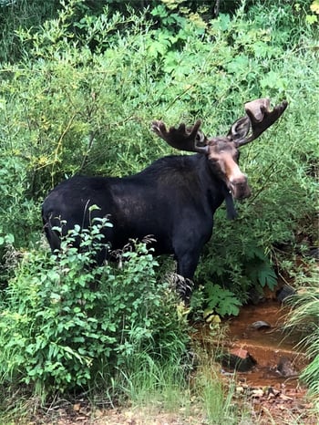 1430 Lower Travis Gulch Rd, Black Hawk, CO 80422