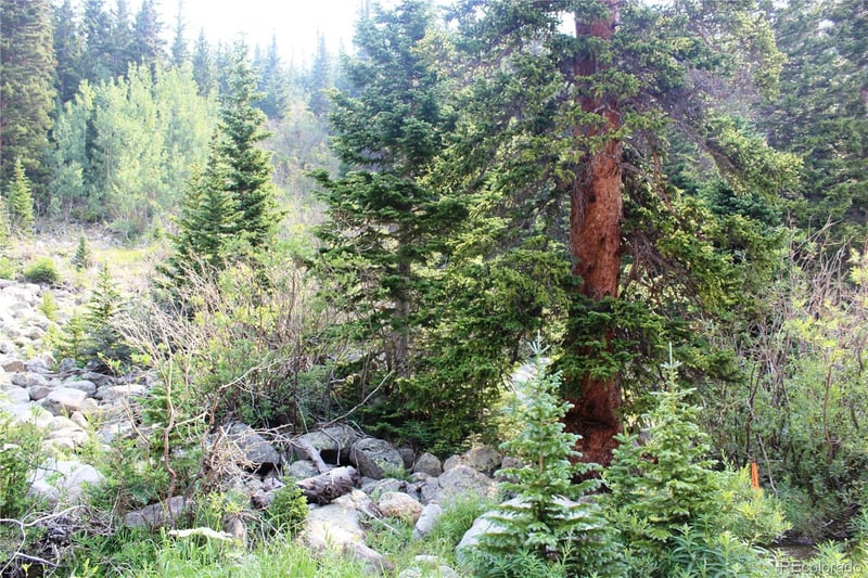 01 Miners Rd Lot 31, Idaho Springs, CO 80461