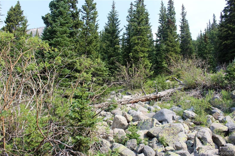 01 Miners Rd Lot 31, Idaho Springs, CO 80461