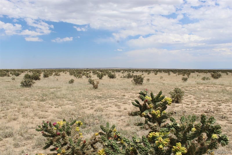 00 Santa Fe Trail Ranches Lot 5, Model, CO 81059
