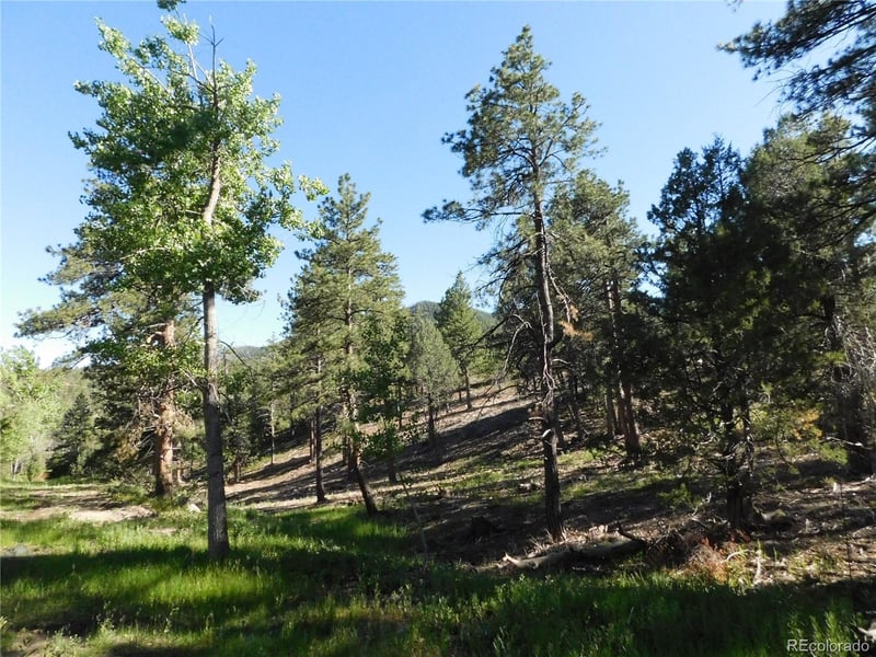 5884 Seminole Trl, Larkspur, CO 80118